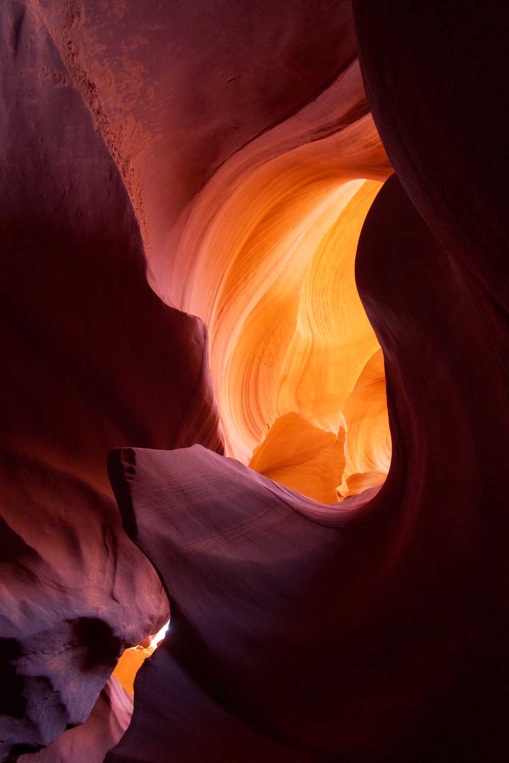 antelope fire