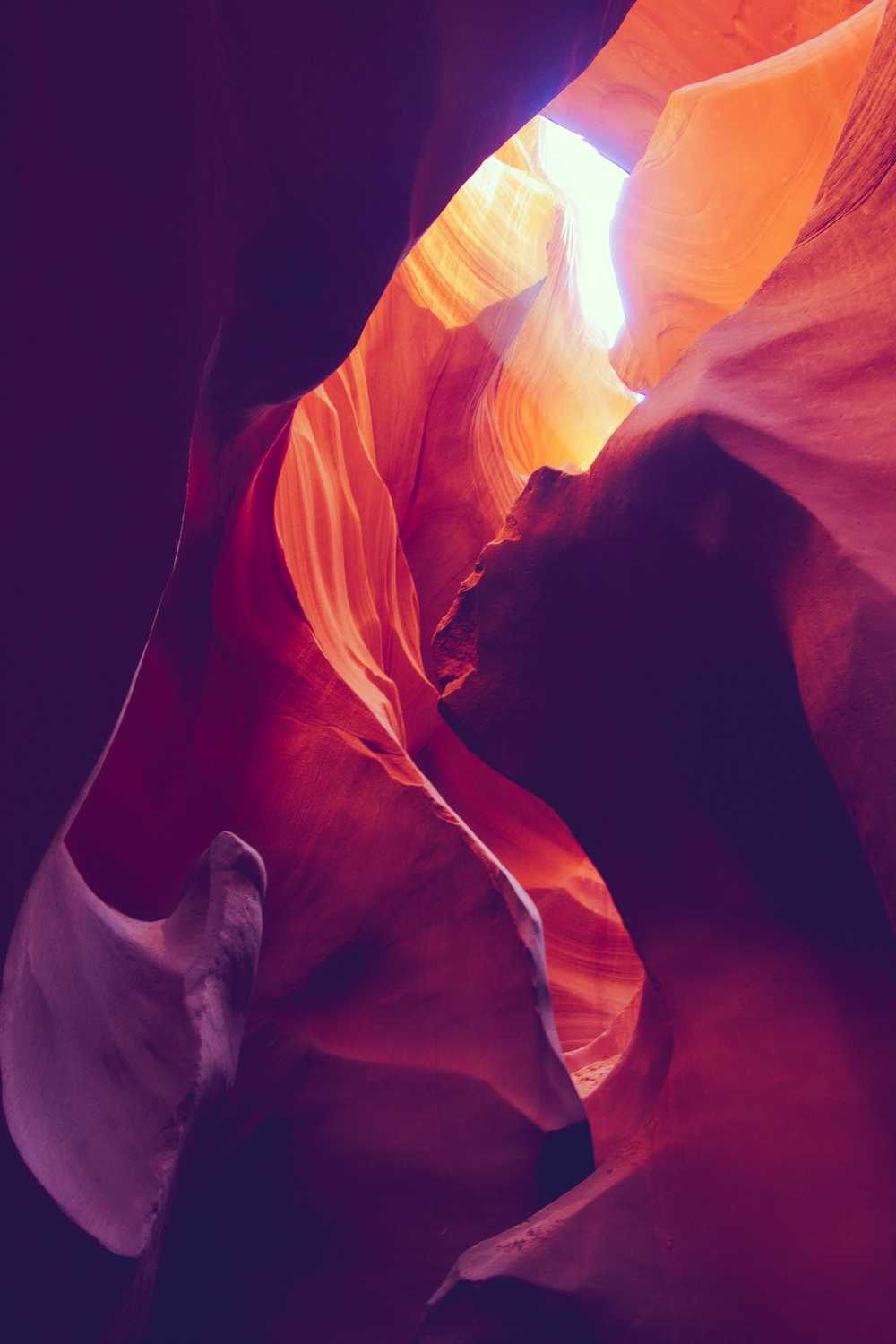 antelope colors