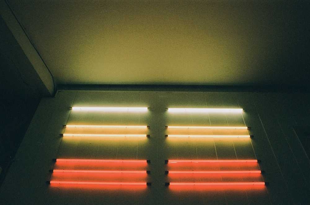 lights