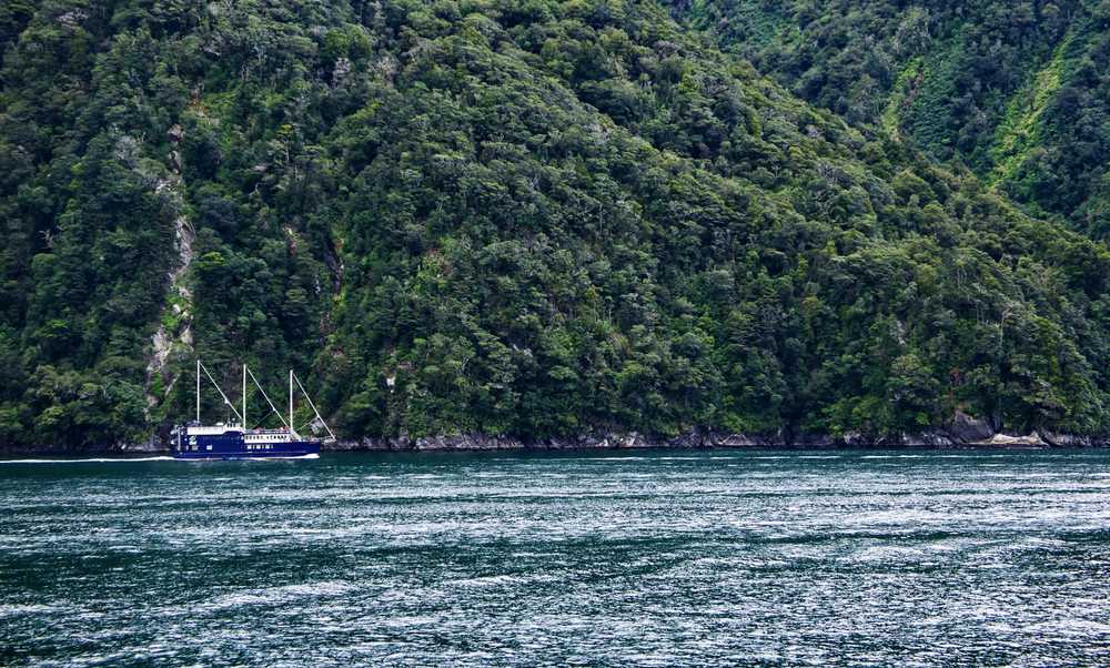 New Zealand