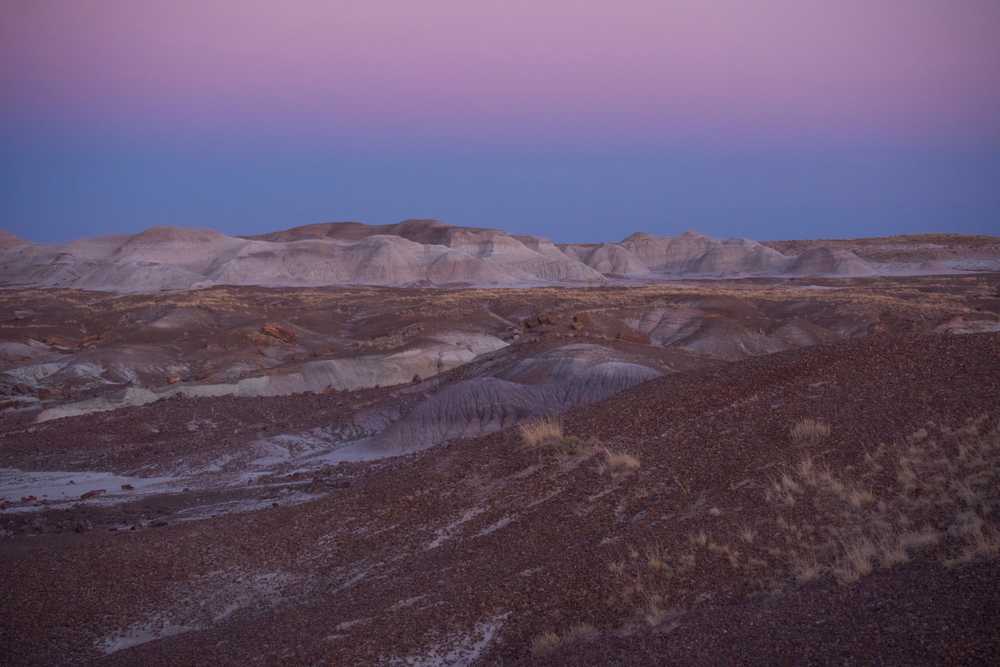 petrified forest