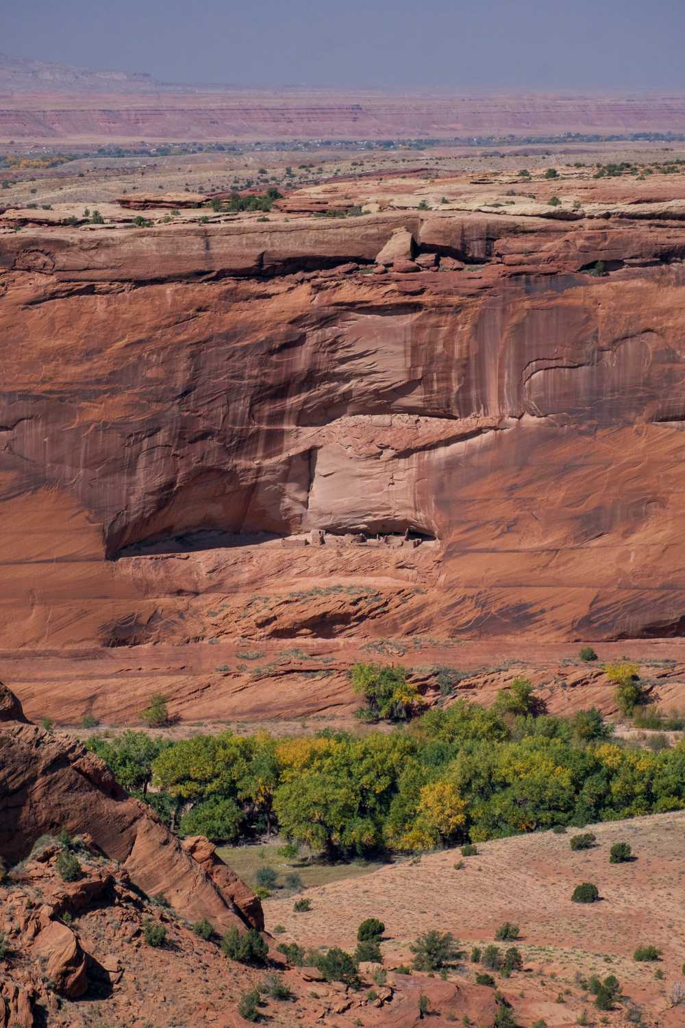 canyon de chelly de greenery
