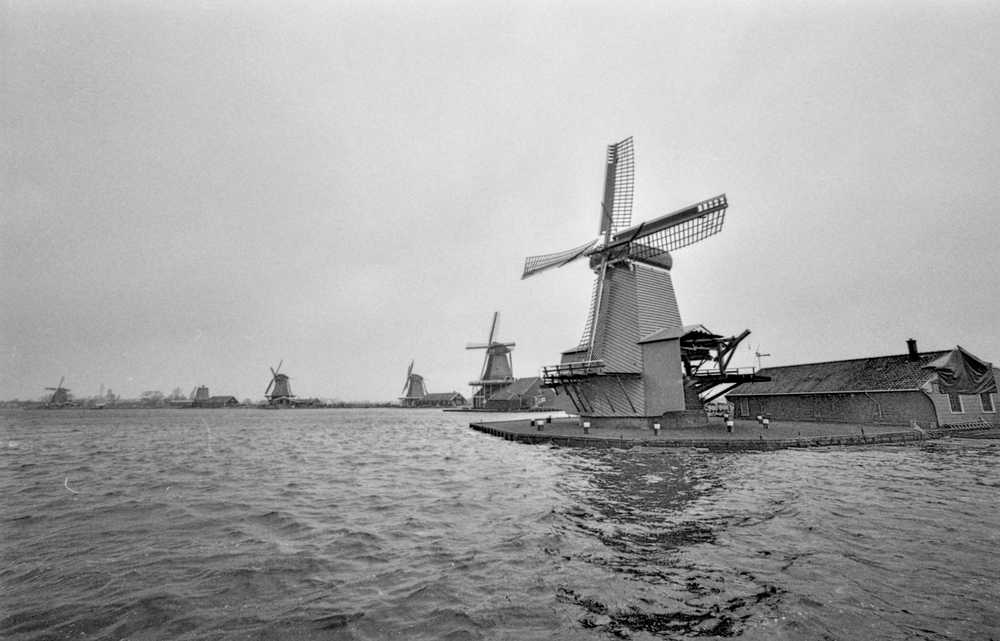 windmills