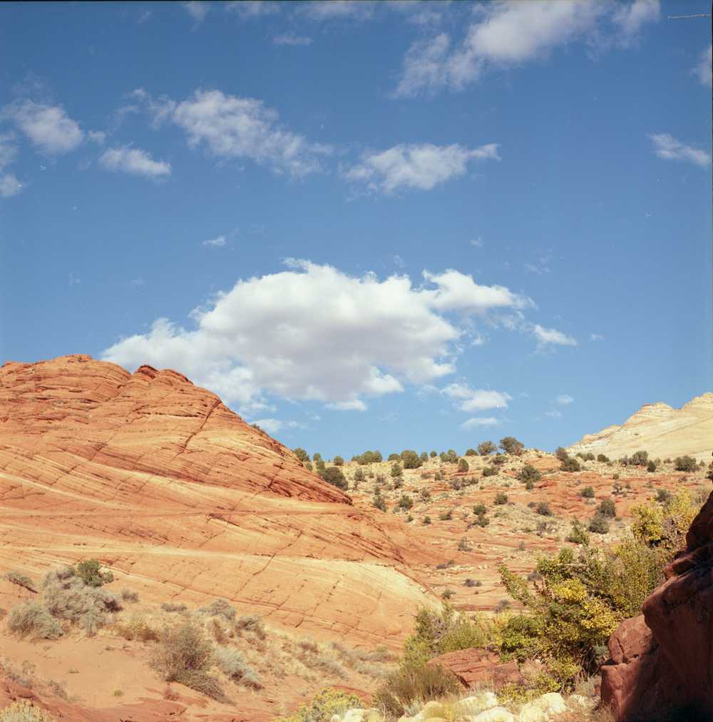 wire pass trail