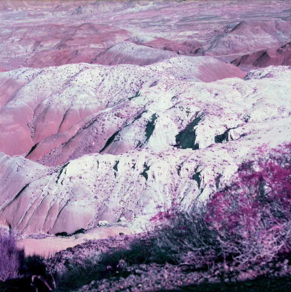 purple painted desert