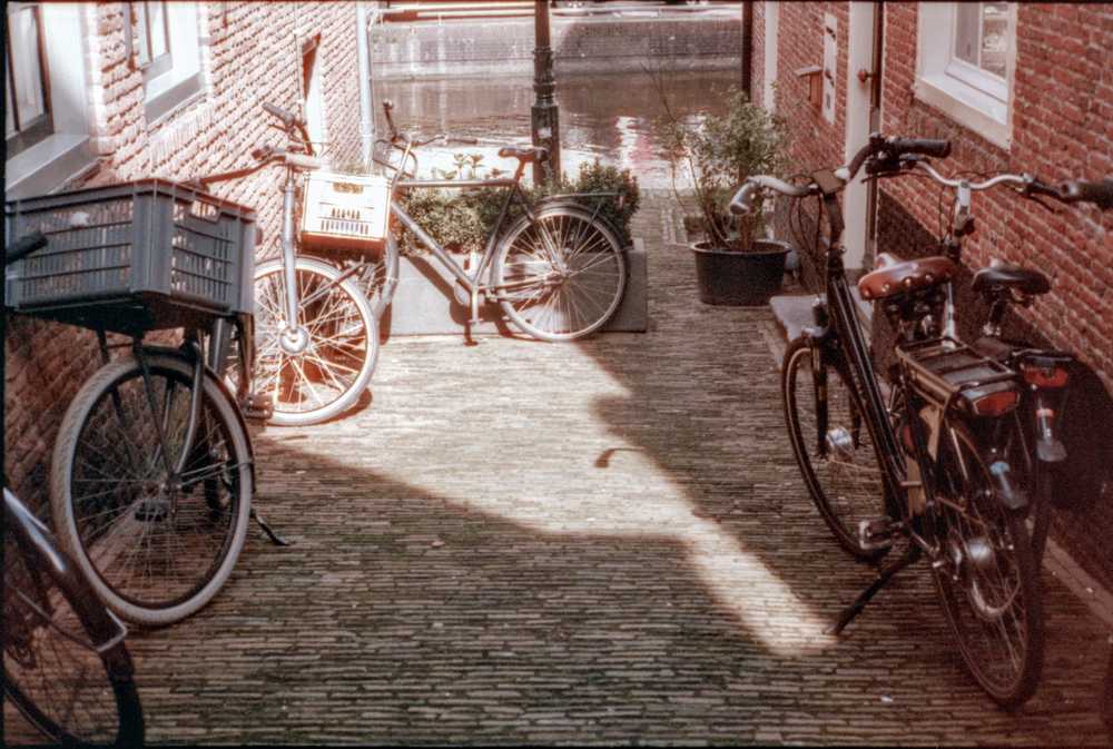 bikes