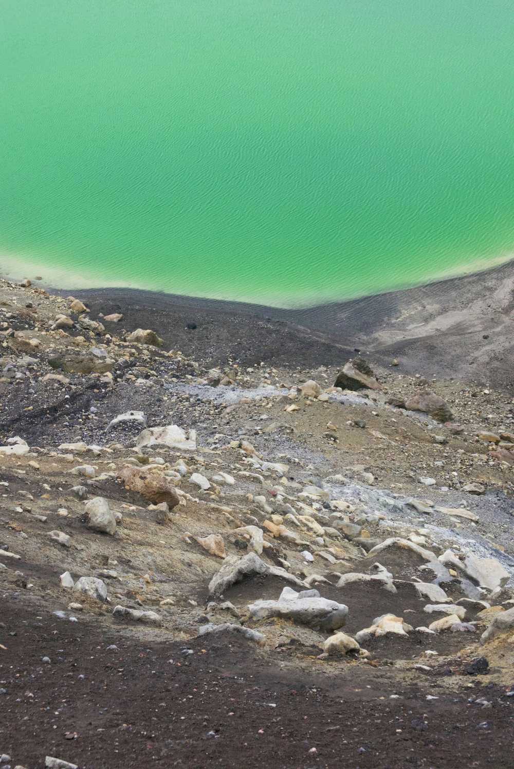 tongariro-pool