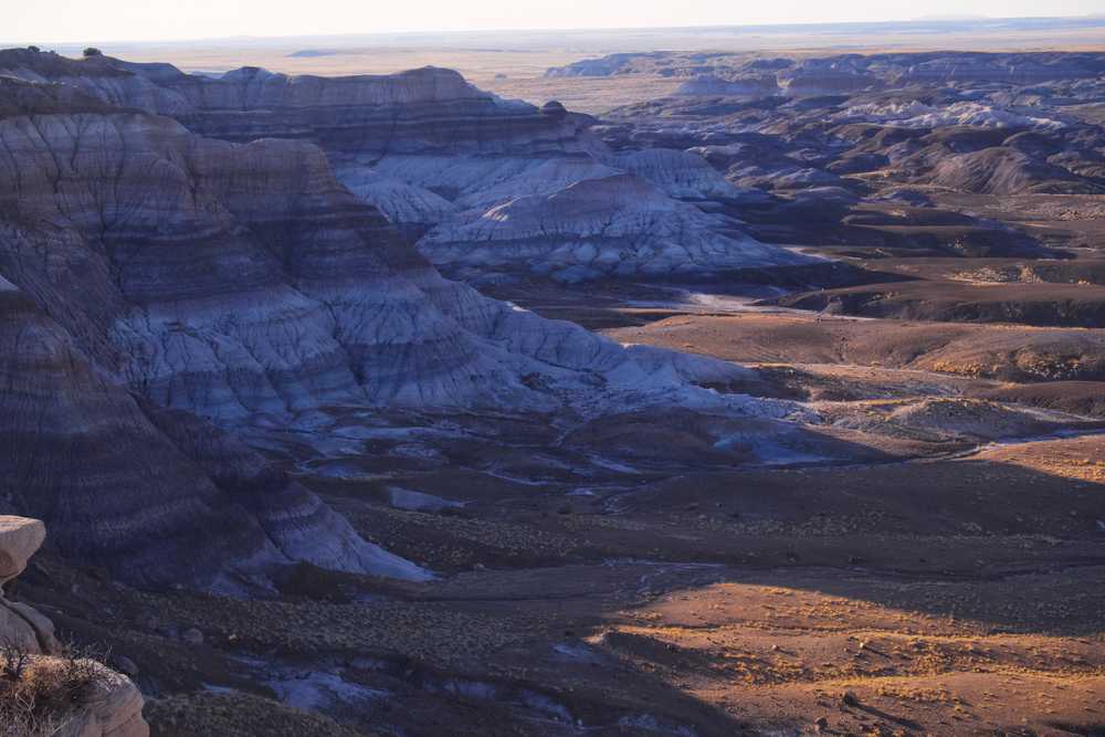 petrified forest sunset